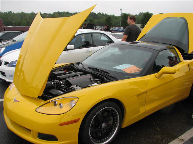 bvnj044